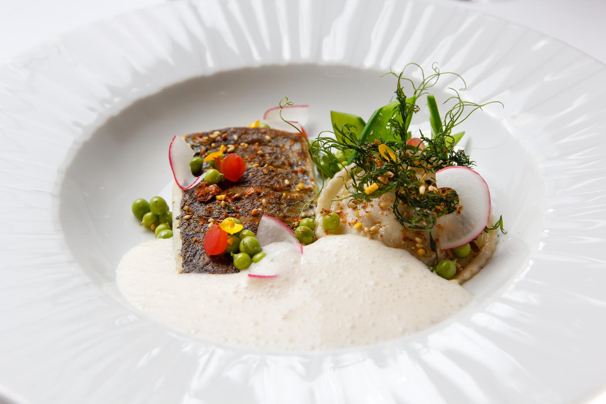 Elegancka kompozycja talerza z szybkim daniem gourmet